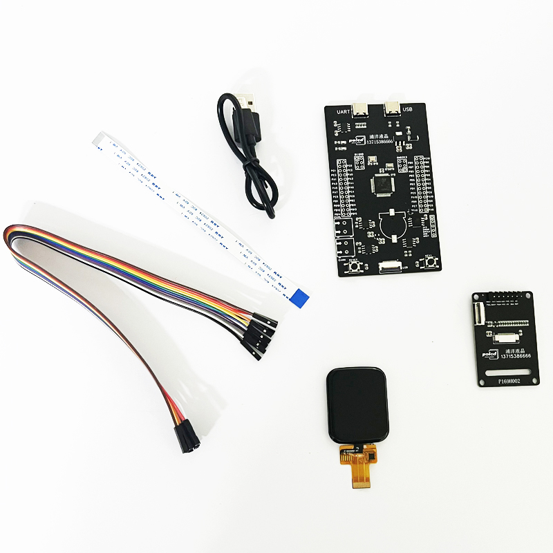 Polcd 1,69 inch LCD Screen PCB Printed Circuit Board Ontwerp en PCBA Assembly Board
